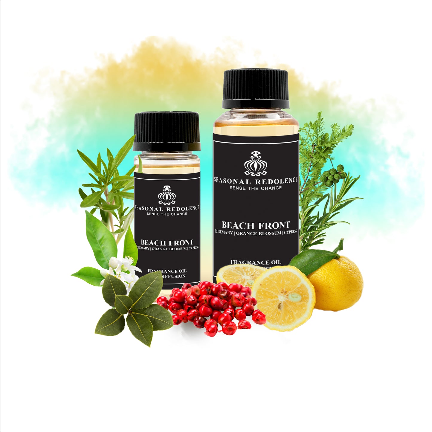 BEACH FRONT opens with the fresh brightness of Japanese yuzu and delicate orange blossom oil, evoking a crisp coastal breeze. Its heart blends aromatic rosemary, sandy nuances, thyme, bay leaves, and a hint of pink pepper, capturing the essence of a sophisticated seaside escape. The fragrance rests on a clean, woody base of cypress, offering a refined and lasting finish that embodies effortless elegance.