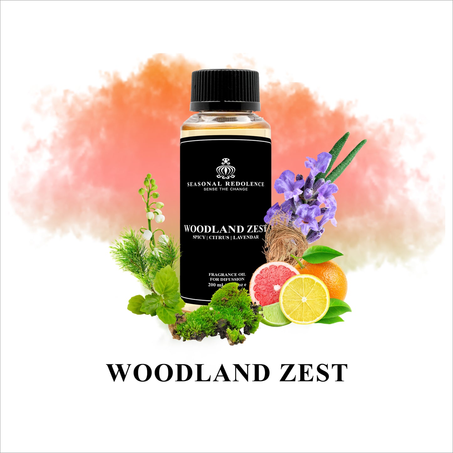 Woodland Zest captures the essence of Parisian elegance with a dynamic fragrance journey. Bright citrus and spicy top notes give way to a refined heart of cedar, lavender, and delicate lily of the valley. The sophisticated base of patchouli, oak moss, and vetiver creates a grounding finish that lingers beautifully. 